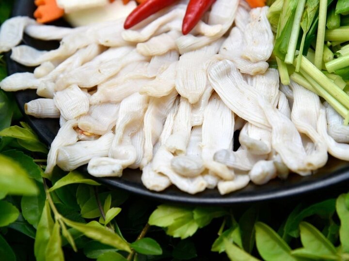 Sá sùng được mệnh danh là "vàng ròng" của biển Quảng Ninh.