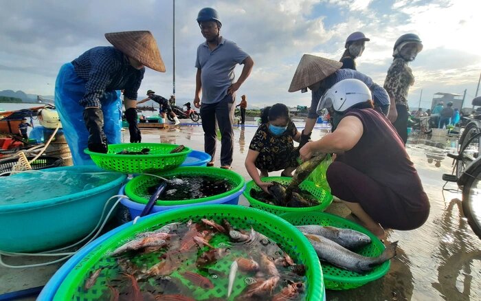visitphuquoc