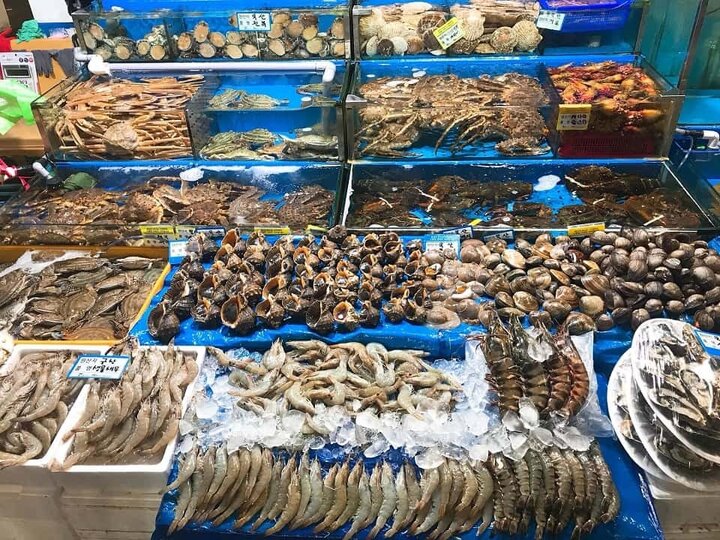 visitphuquoc