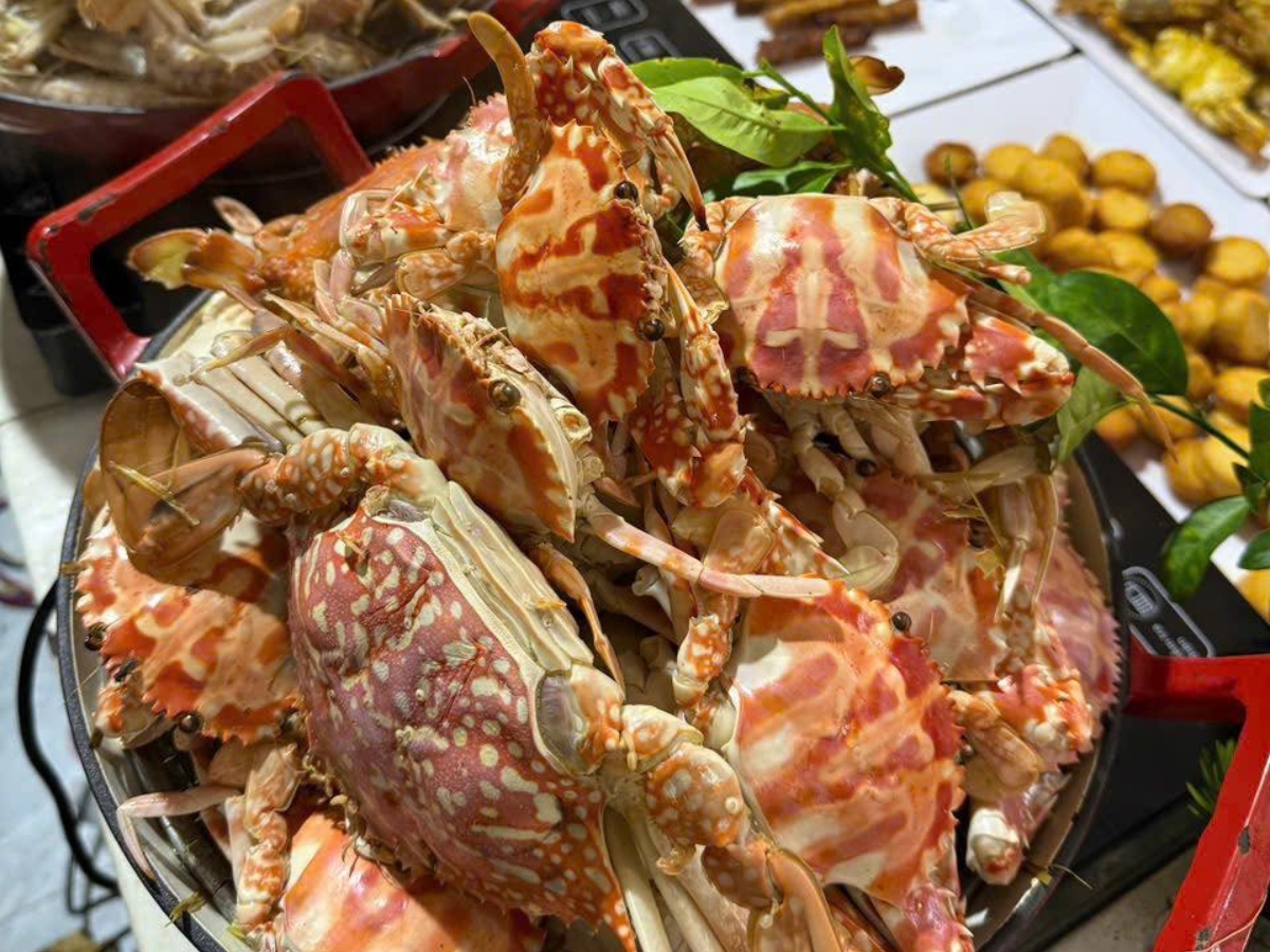 Hải sản Quảng Ninh nổi tiếng về độ tươi ngon nên được du khách rất yêu thích