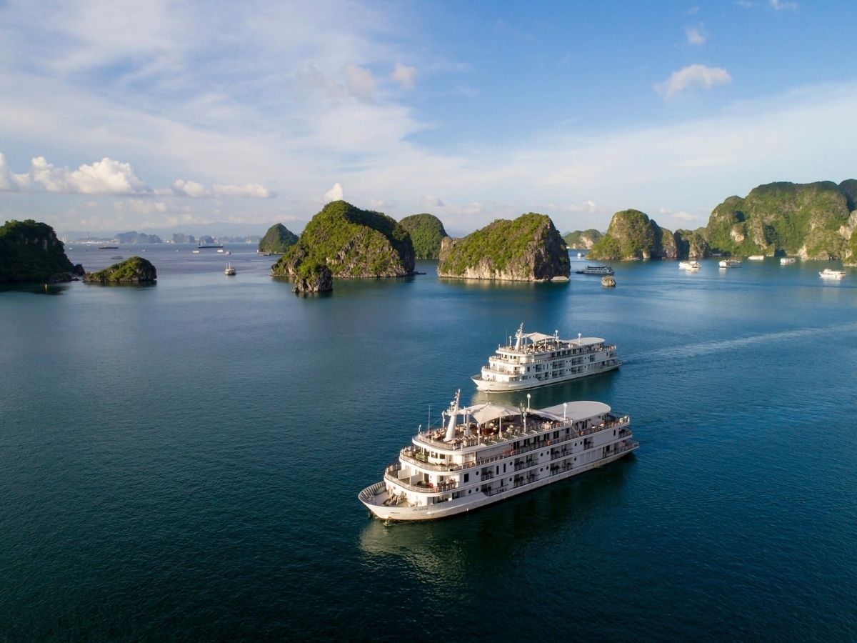 Hạ Long được ví như một bảo tàng sinh thái ngoài trời với sự đa dạng về các vùng sinh học nổi bật.