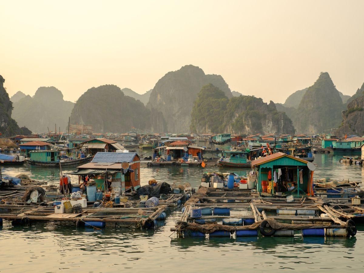 Làng chài Việt Hải và làng Cái Bèo là hai địa điểm mang nét đặc trưng trong lịch trình Lan Ha Bay Cruise.