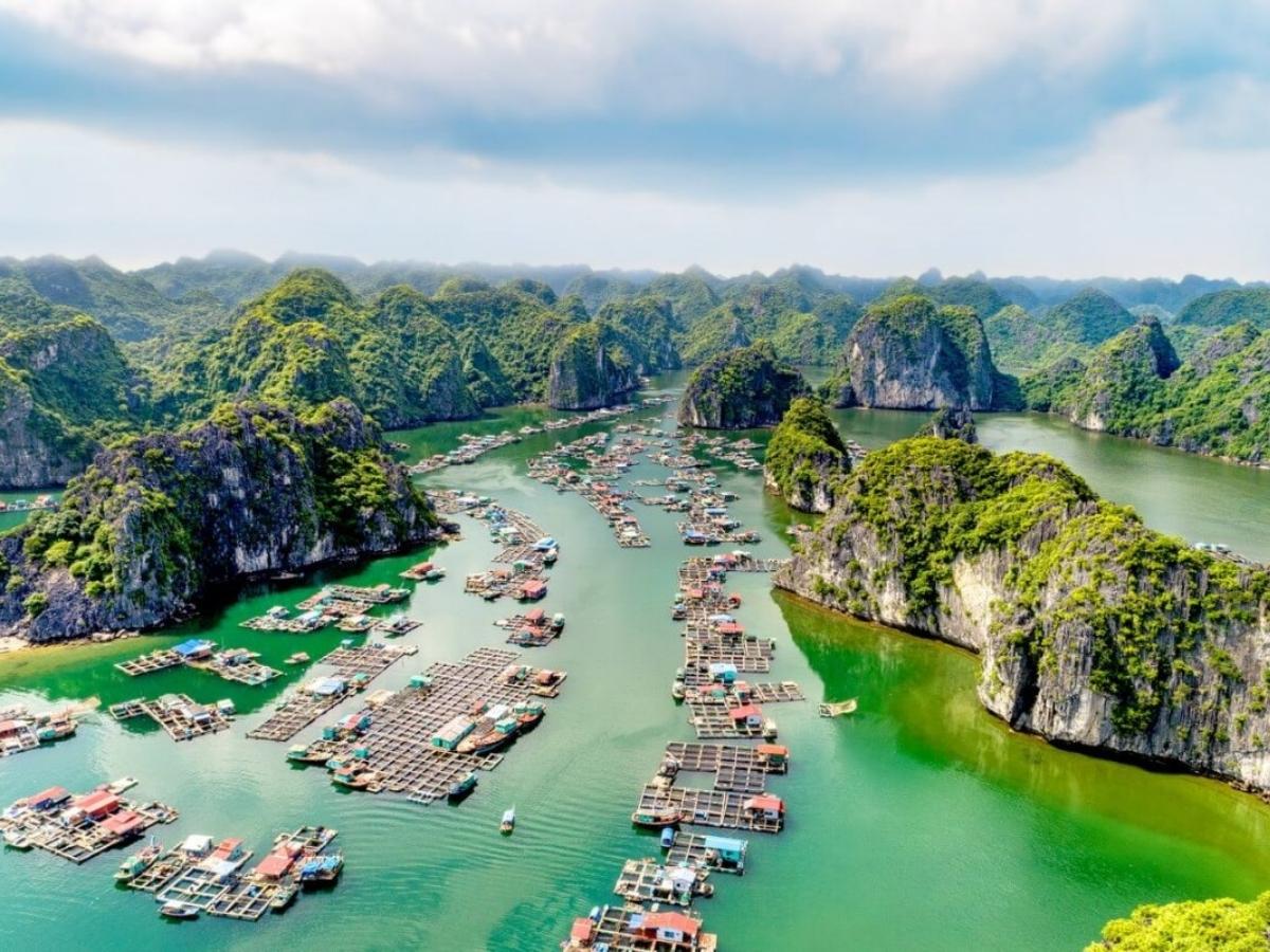 Vịnh Lan Hạ nằm ở phía Đông đảo Cát Bà và là vùng tiếp giáp giữa đảo Cát Bà và kỳ quan thế giới vịnh Hạ Long.