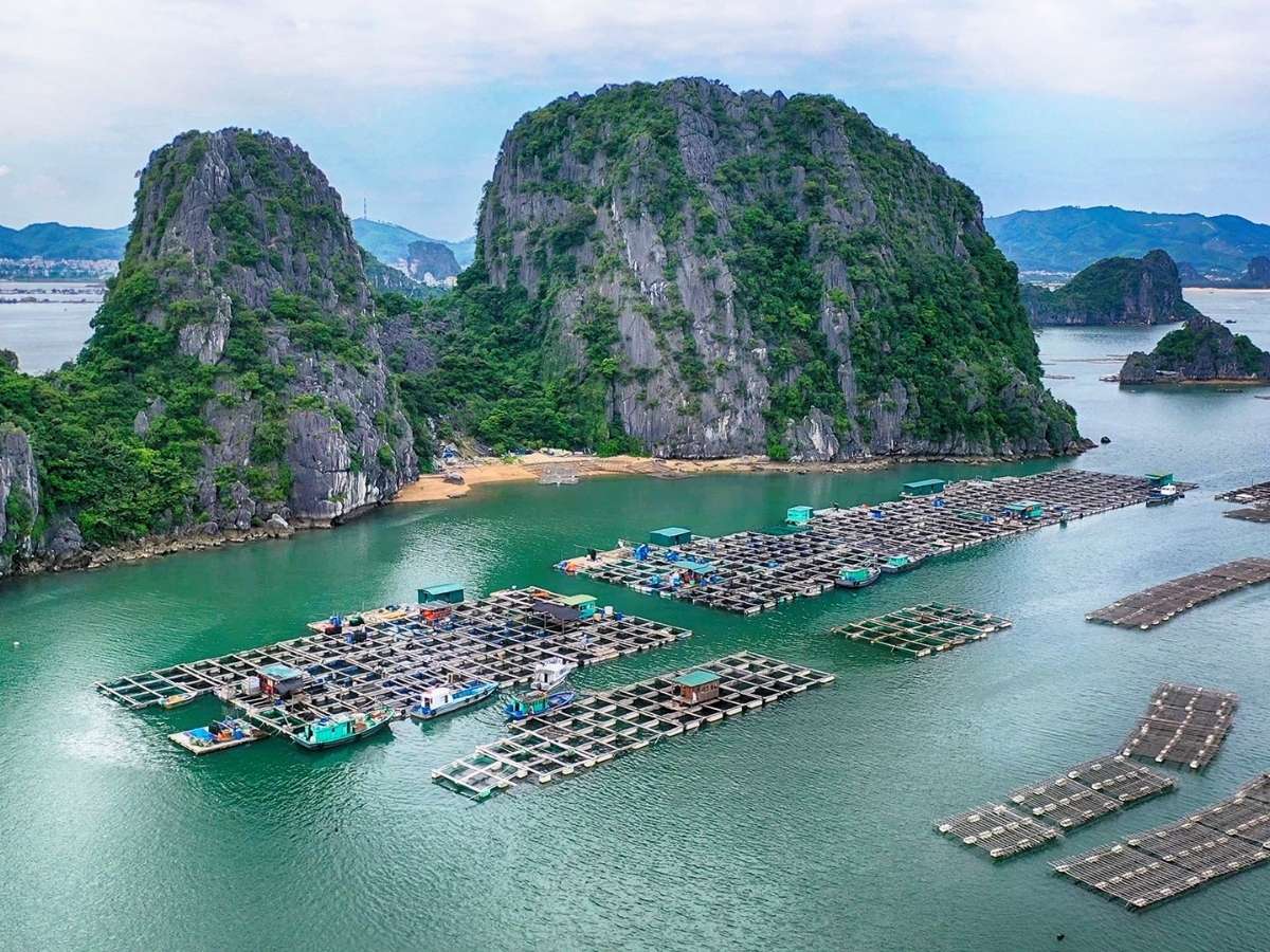 Một trong những trải nghiệm không thể bỏ lỡ trong thời tiết Hạ Long tháng 9 là tham quan Vịnh Hạ Long bằng du thuyền.