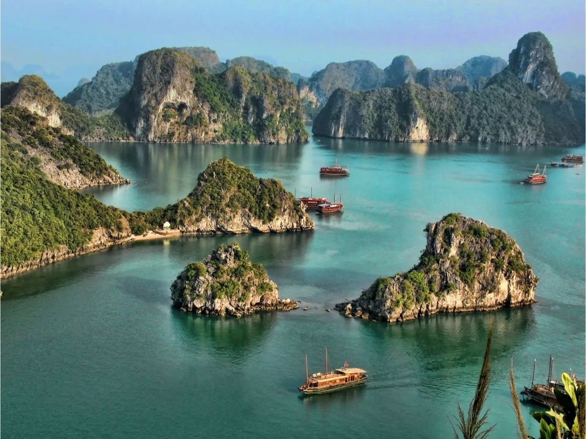 Khi đặt tour khám phá vịnh Hạ Long, du khách nên ưu tiên các đơn vị công khai rõ giá vé, chi phí ăn uống và các khoản phụ phí nếu có (Nguồn: Sưu tầm)