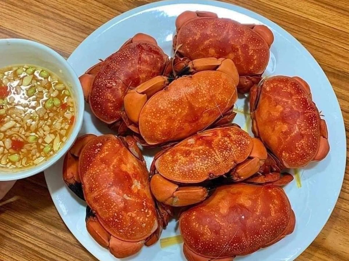 Trong số các loại hải sản Quảng Ninh, cù kỳ là đặc sản khá độc đáo mà không phải vùng biển nào cũng có