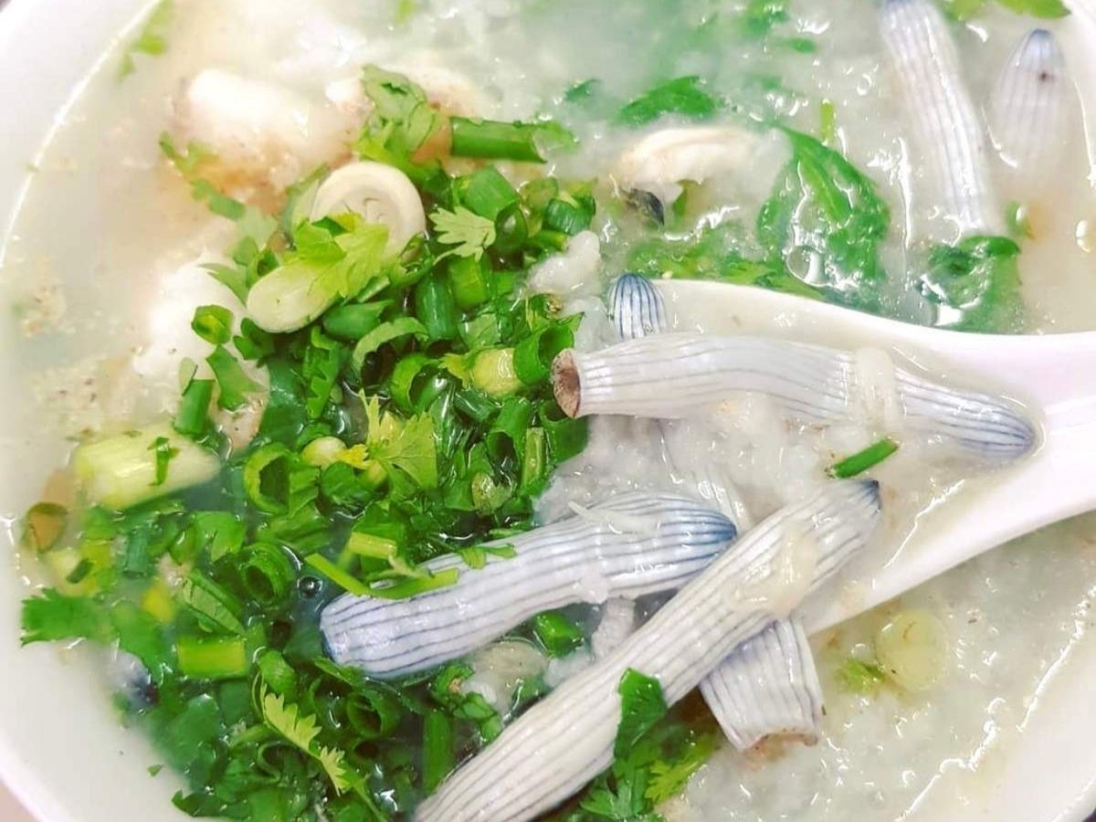 Sá sùng được xem là "nhân sâm biển" của Vịnh Bái Tử Long