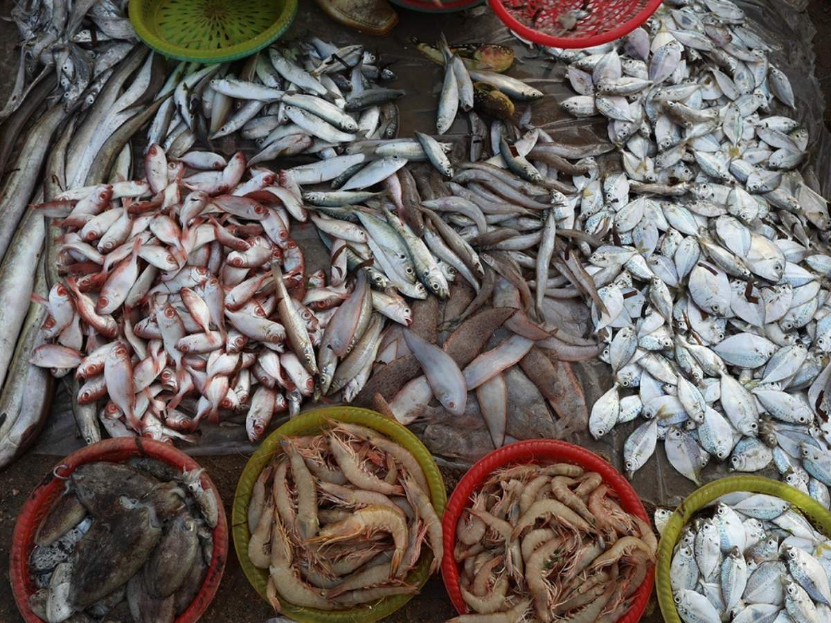 Đảo Vĩnh Thực còn sở hữu nguồn hải sản phong phú và tươi ngon.