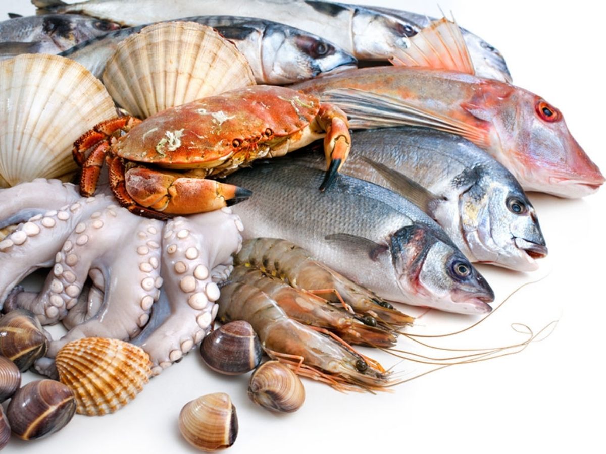 Hải sản Móng Cái Quảng Ninh tươi sống đa dạng mang đến món ăn hương vị tuyệt vời