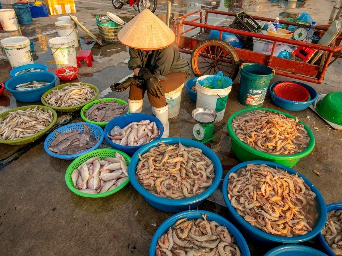 Ăn trưa ở Hạ Long là cơ hội thưởng thức hải sản tươi sống vừa được đánh bắt và chế biến ngay tại chỗ