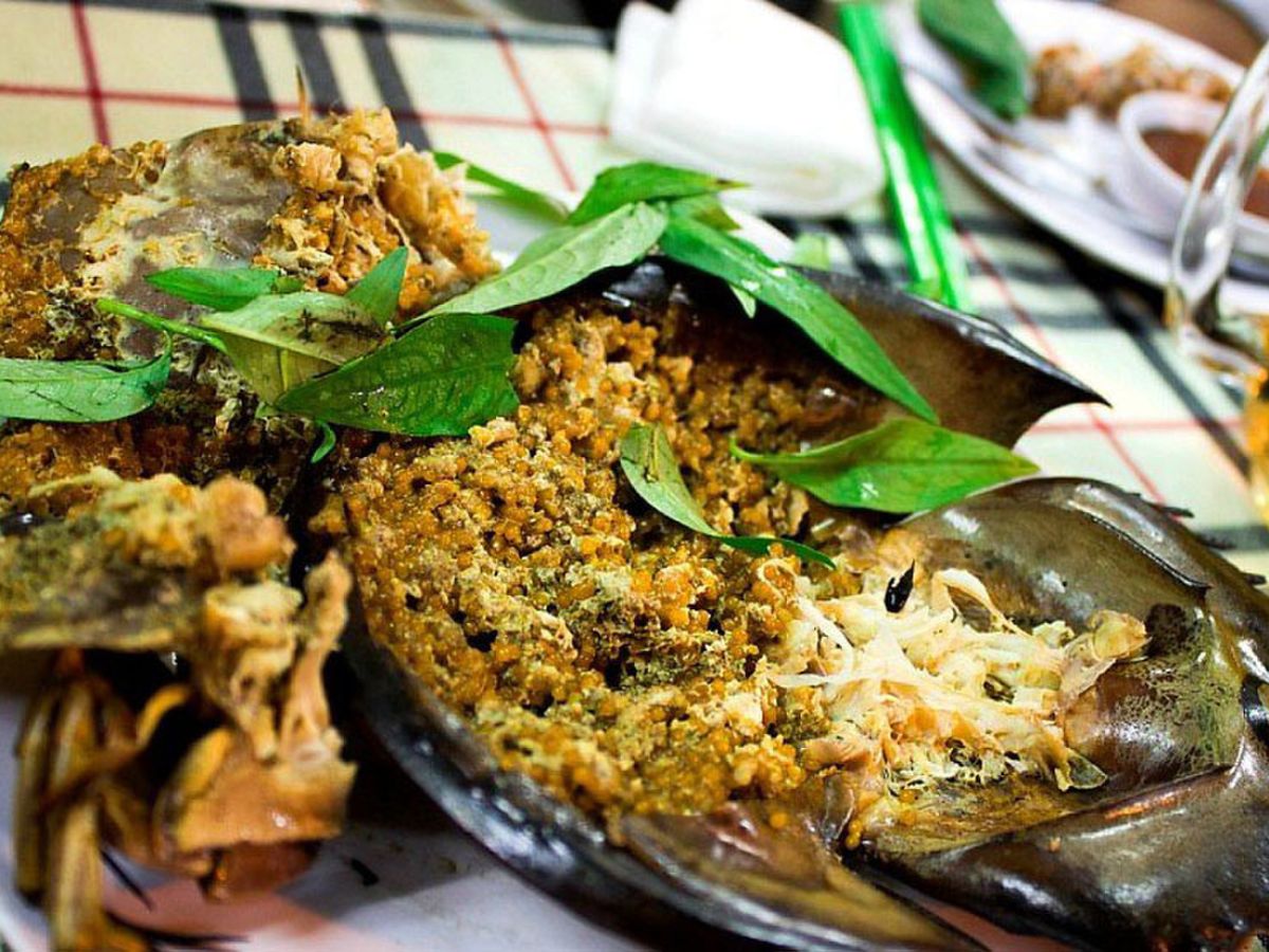 Thưởng thức sam biển với nhiều cách chế biến hấp dẫn