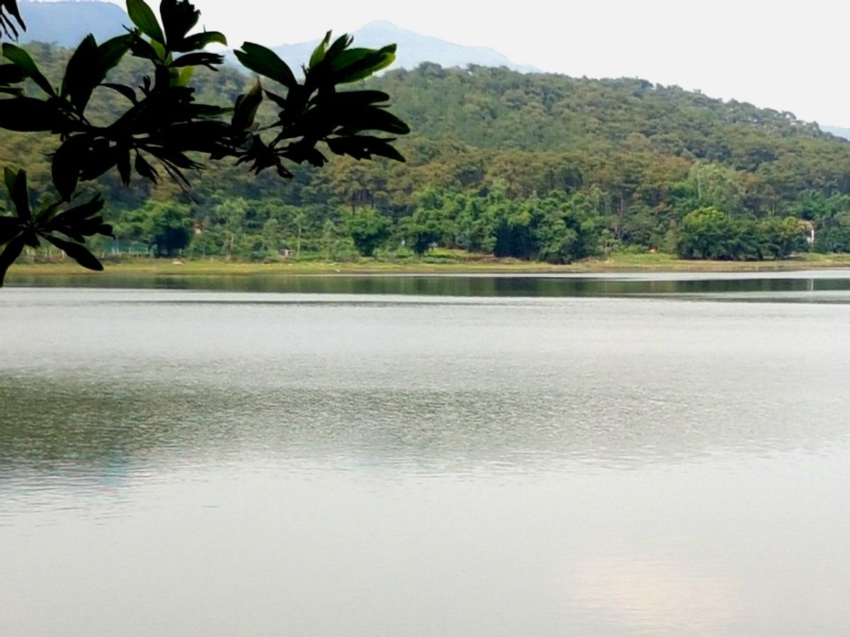 Diện tích mặt nước của hồ Yên Trung rộng tới 100 ha là hồ nước ngọt có quy mô lớn nhất tại Quảng Ninh.