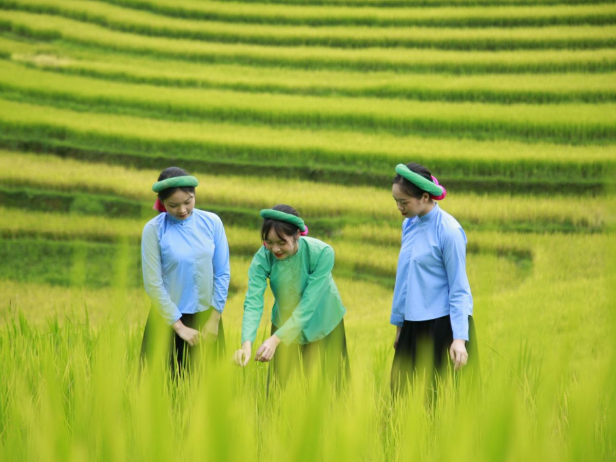 Người Sán Chỉ ở Đại Dực vẫn giữ được những nếp sinh hoạt truyền thống.