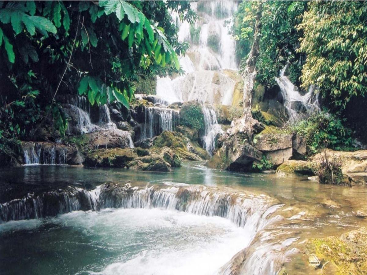 Thác Mơ Quảng Ninh sở hữu nhiều khu vực lý tưởng để tổ chức cắm trại, dã ngoại.