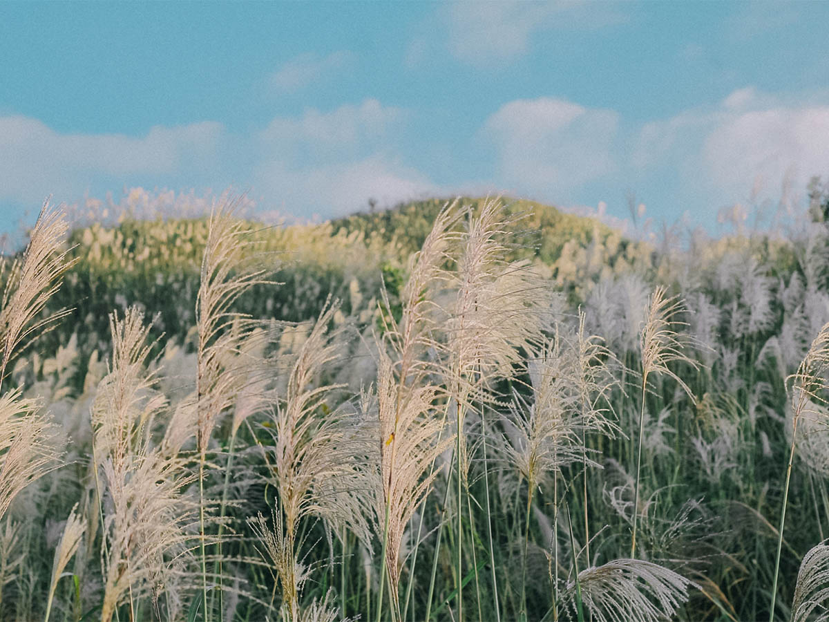 Kinh nghiệm du lịch cột mốc 1305 Bình Liêu Quảng Ninh