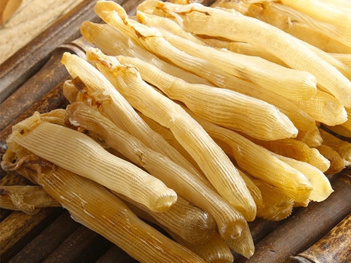 Sá sùng có giá trị dinh dưỡng cao