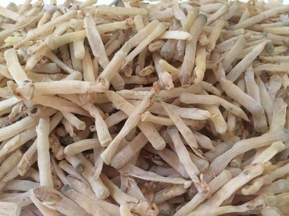 Gợi ý trải nghiệm ẩm thực sá sùng khô Quảng Ninh