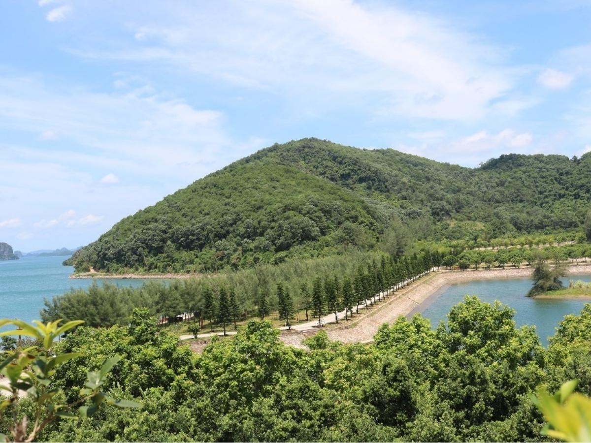 Bãi biển trên đảo Thẻ Vàng mang vẻ đẹp tự nhiên với cát trắng mịn, làn nước biển trong xanh đến mức có thể nhìn rõ đáy.