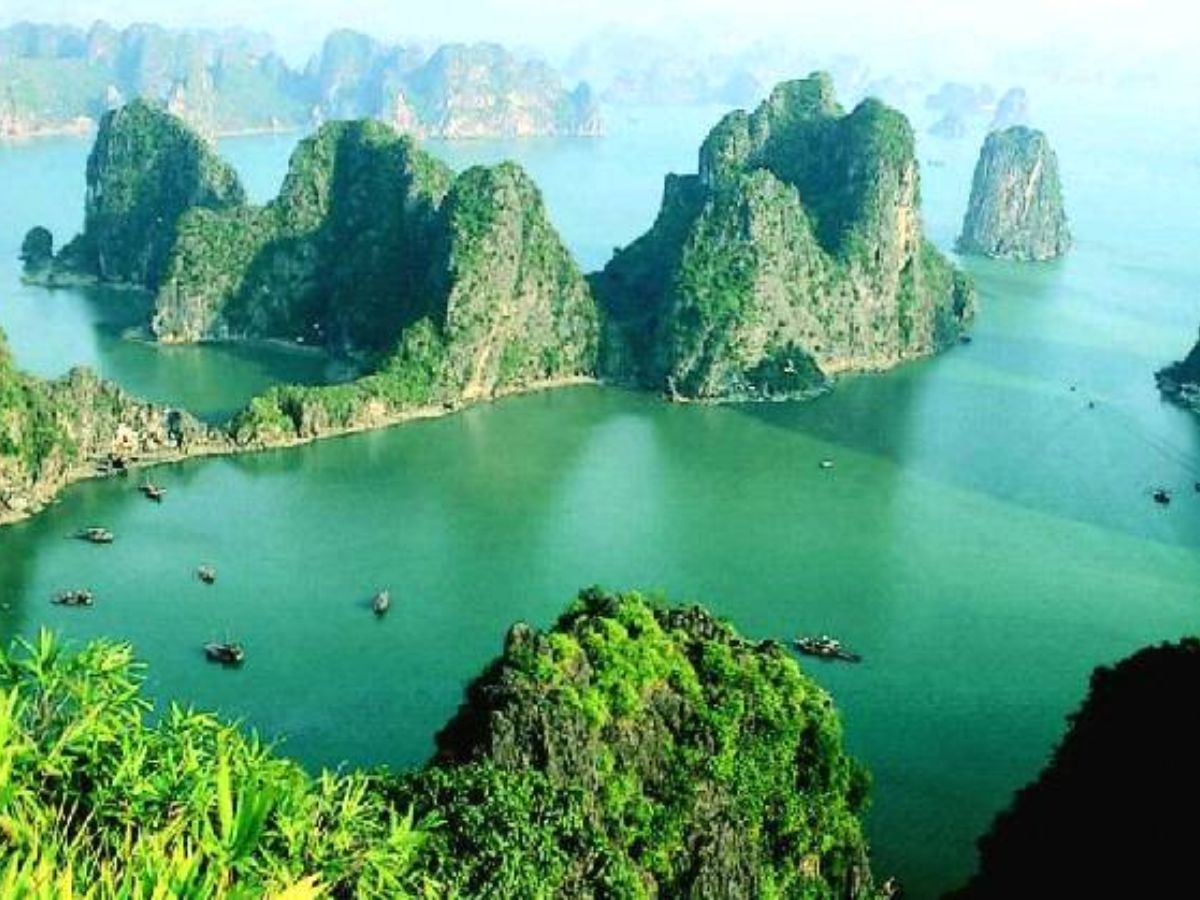 Vịnh Hạ Long nằm ở tỉnh Quảng Ninh thuộc khu vực vùng Đông Bắc Việt Nam. 
