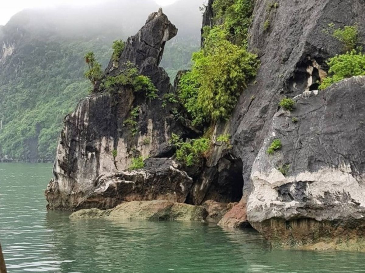 Hòn Chó Đá nằm gần cảng Tuần Châu và thường là điểm du khách thấy khi bắt đầu hành trình.